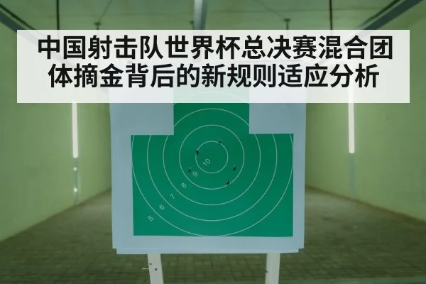 shooting sport rifle target
